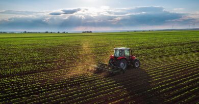 Why Is Titan Machinery (TITN) Stock Down 24% Today?
