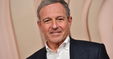 Disney signals its next CEO will take over a company with strong momentum